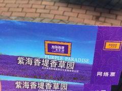 -紫海香堤香草艺术庄园