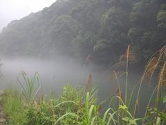 -九龙江国家森林公园