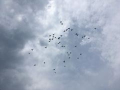 景点-鸽子窝公园