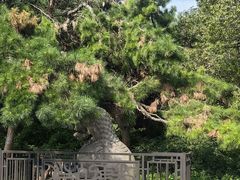 -北陵公园