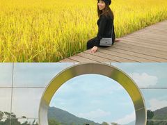 -艾米稻香小镇