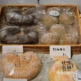 朝阳门宝藏🏴‍☠️面包店