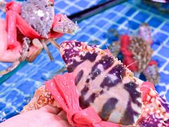 -巽寮印象美食部落餐厅·海鲜·地方特色菜(惠州体验店)