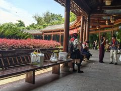 -金银湖国家城市湿地公园