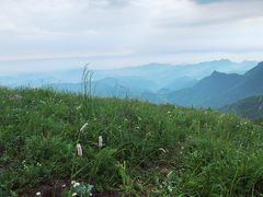 -白草畔自然风景区