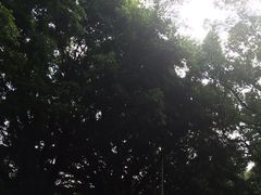 -福建师范大学(仓山校区)