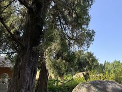 -四川江油戴斯大酒店