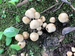 -金堂县云顶石城风景区