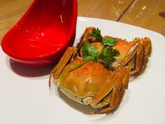 清蒸大闸蟹-华侨城嘉途酒店·屋顶阳光餐厅