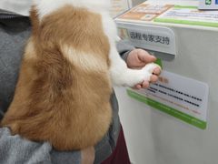 -瑞鹏宠物医院·超声·骨科·奇麟分院(蜀都万达店)