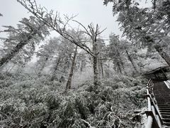 -峨眉山风景名胜区