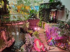 -正佳雨林生态植物园