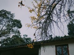 -金堂县云顶石城风景区