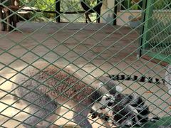 -水上乐园·欢乐世界