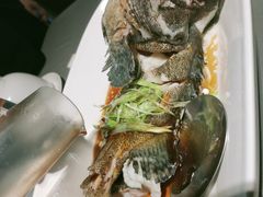 清蒸老虎斑-徐记海鲜(汉城湖|太奥店)