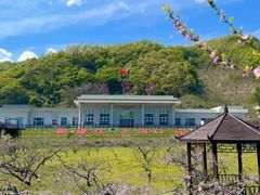 -河口景区