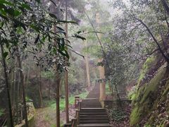 -缙云山景区
