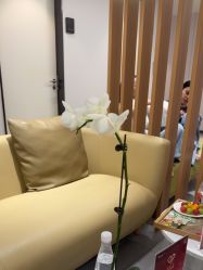 -Yestar宁波艺星整形医院