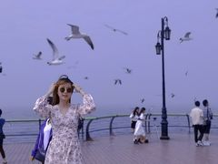 -东港音乐喷泉广场