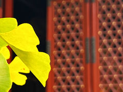 -八大处公园