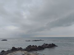 -日照海滨国家森林公园
