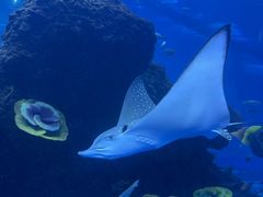 -成都浩海立方海洋公园