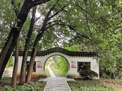 -东湖落雁景区