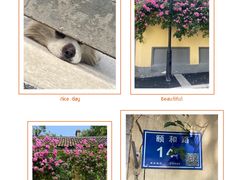 -颐和路民国时期公馆-风貌区