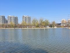 -太阳宫公园