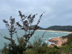 -广东惠东海龟国家级自然保护区
