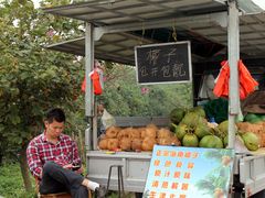 餐饮设施-海鸥岛