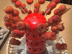 -羲和雅苑•北京烤鸭(平安国际金融中心店)