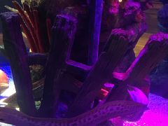 -沈阳海洋探索中心