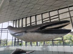 -中国（海南）南海博物馆