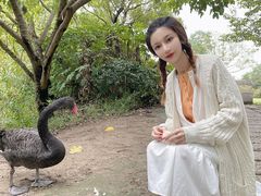 -长兴太湖图影湿地文化园