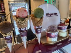 -哈根达斯(龙湖时代天街店)