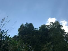 -安吉龙王山峡谷漂流