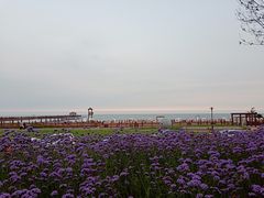 -猫的天空之城概念书店(北戴河蔚蓝海岸店)