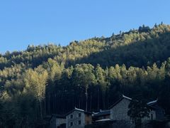 -MOJ coffee(瓯海泽雅水碓坑店)