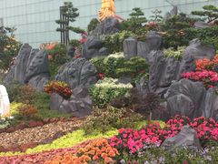 -南山植物园