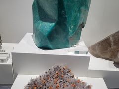 -重庆自然博物馆(新馆)