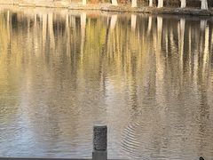 -西宁市人民公园(城西区)