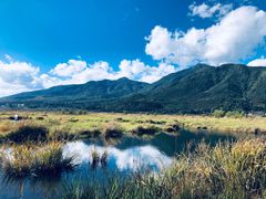 -腾冲北海湿地