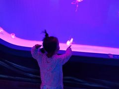 -多彩贵州城极地海洋世界