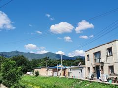 -苏家坨柳林村二月兰花海