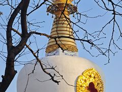-护国法轮寺