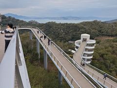 -福道