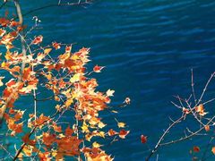 -叠溪松坪沟景区