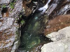 -梧桐山风景名胜区