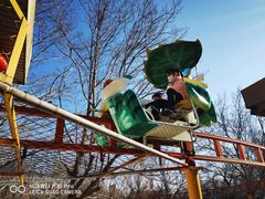 -朝阳公园游乐园